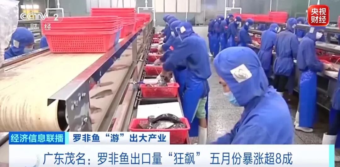 “边角料都是宝”!出口量“狂飙”!“游”出来的大产业火了